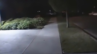Wild Group Sex In A Hardcore Party
