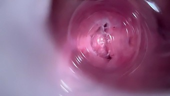 Video Definisi Tinggi Tentang Orgasme Penetrasi Dalam Vagina Coklat Remaja