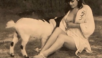 Vintage Taboo: Dari Belakang Dan Fetish Sctological